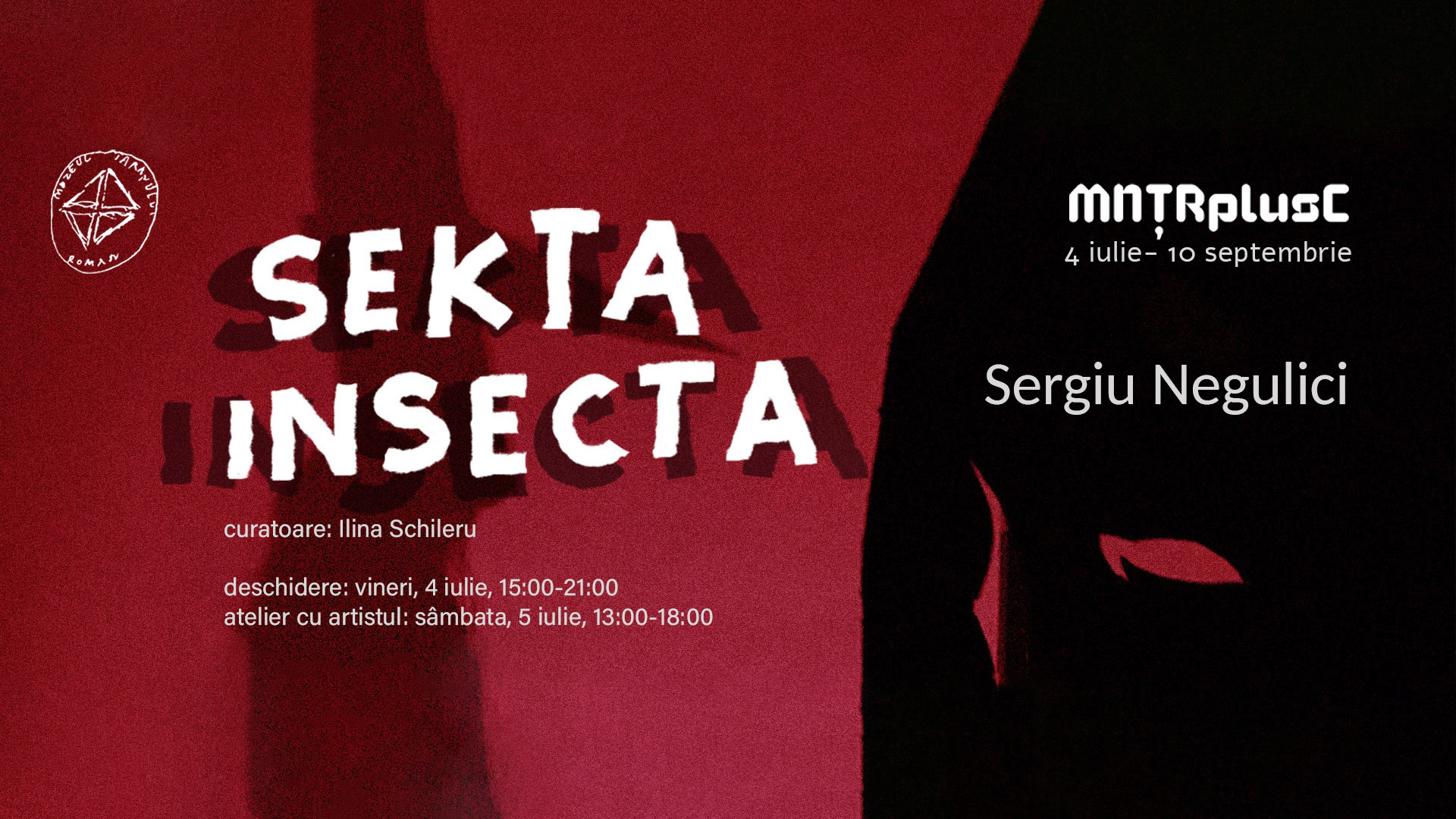 SEKTA INSECTA, de Sergiu NEGULICI (Instalație, pictură, video)