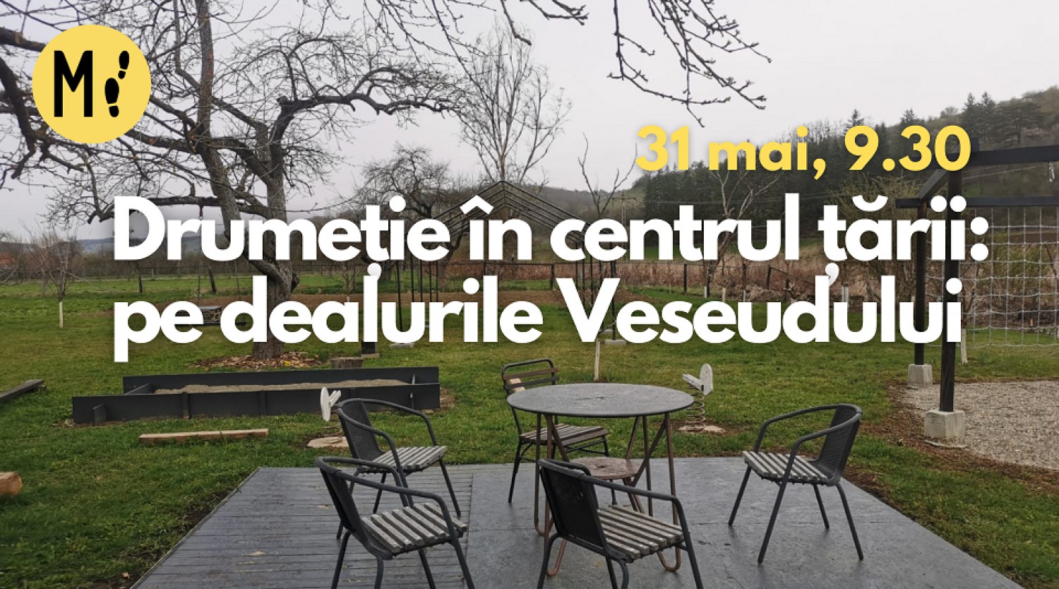 Drumeție în centrul țării: pe dealurile Veseudului