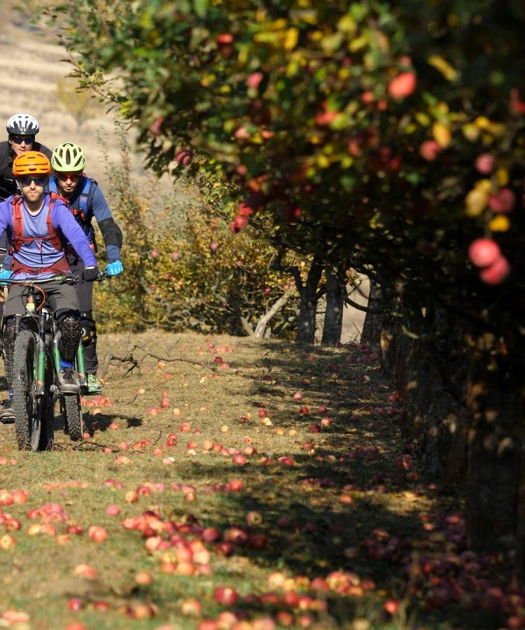 Turul Discovery în Transilvania pe E-bike