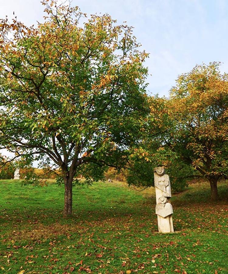 Tabăra de sculptură Măgura