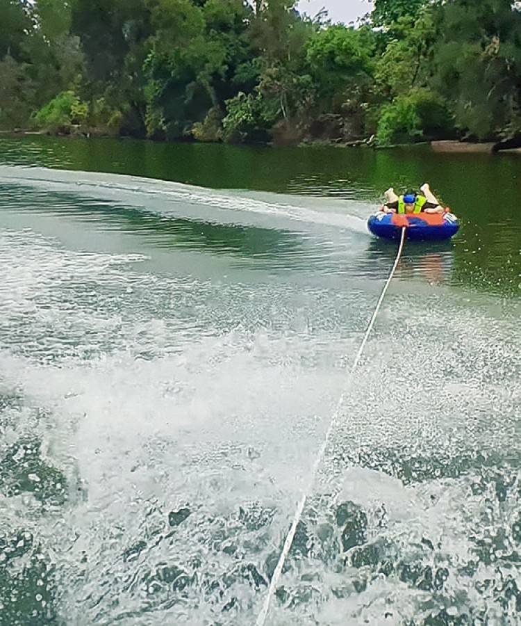 Plimbare cu gogoșarul pe Dunăre
