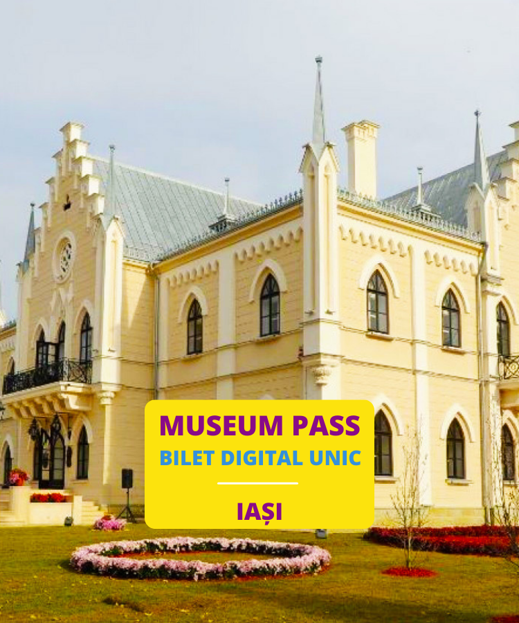 Bilet Unic Muzee din Iasi